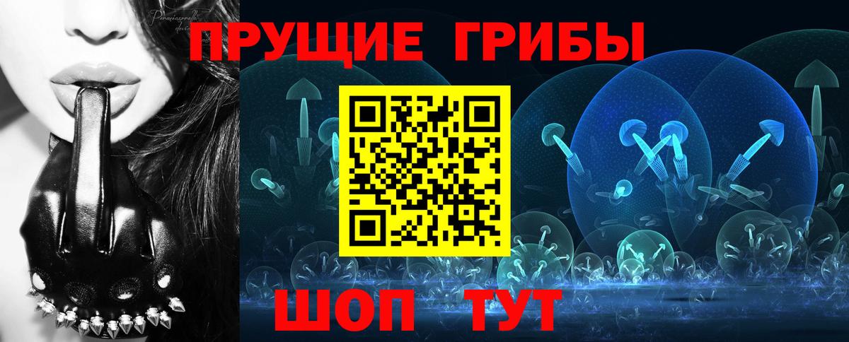 Псилоцибиновые грибы MAGIC MUSHROOMS  Галлюциногенные грибы GOLDEN TEACHER  Вход с VPN  Павлово 